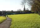 Families can visit Saffron Walden Common this summer