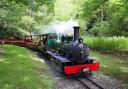Audley End Enchanted Railway is launching a new electric steam-outline locomotive