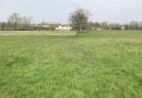 The view north east from Wimbish Footpath 70