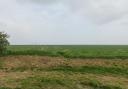 The wind farm will be located on land east of the Dengie Peninsula