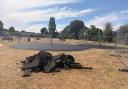 Improvements - A much-loved Halstead park is being transformed with new equipment for local children and families