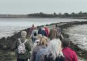 Popular - a scenic walk along Northey Causeway.