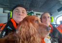 Urban Search and Rescue dog Jarvis has been given a PDSA Commendation Award