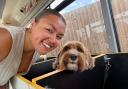 Dream - I swapped my notepad for a seat on Essex’s first crate-free dog bus and quickly realised this was no ordinary morning on the job