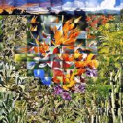 Paradise, Mexico by Noel Myles