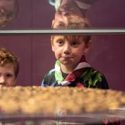 Two children admire the coins on display