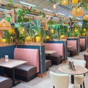 Inside - the new Gardener's Retreat restaurant at Alton Garden Centre on the A127