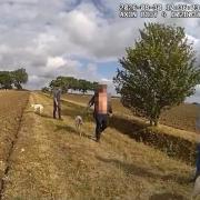 Police seized three dogs and detained three men