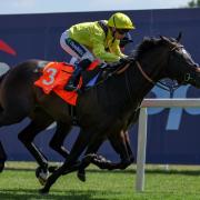 Saddadd winning at Newbury (Steven Paston/PA)